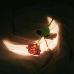 一寸一寸进入稚嫩quot
